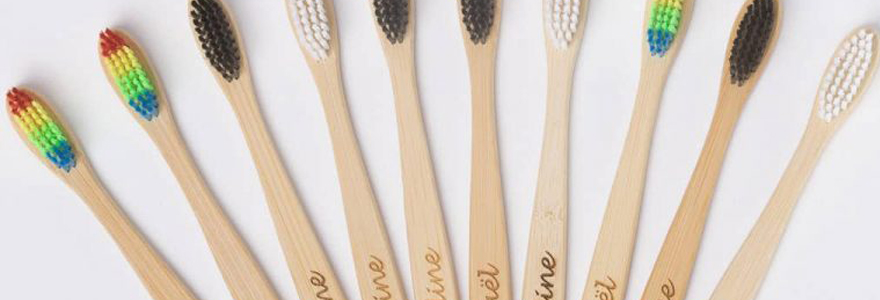 brosse à dent écologique