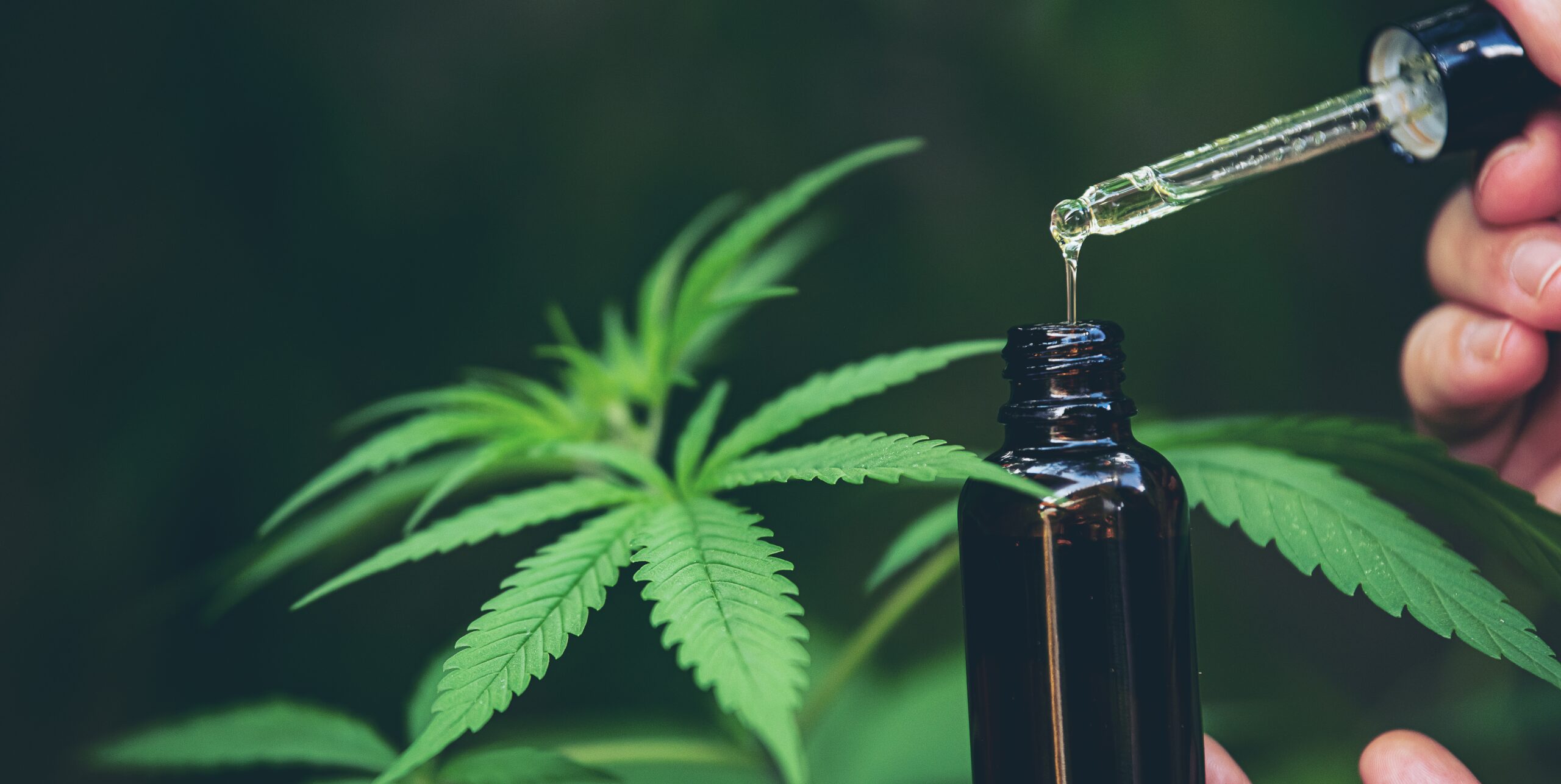 CBD full spectrum