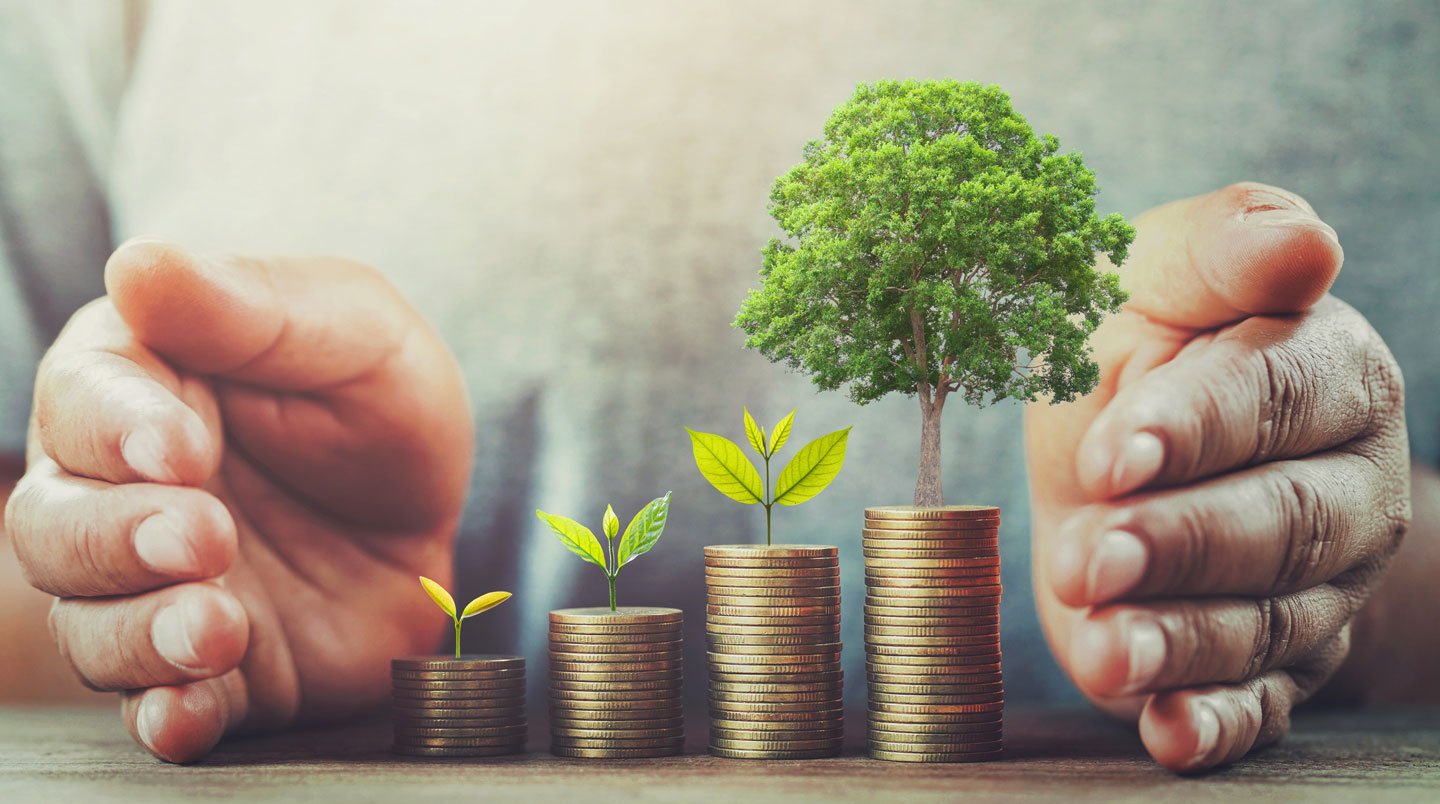 Poignée de main professionnelle lors de la signature d'un financement durable entre dirigeant et chargé d'affaires
